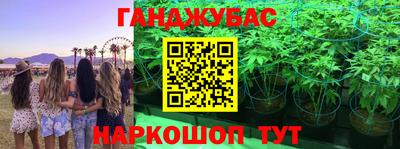 мяу мяу мука Лесосибирск