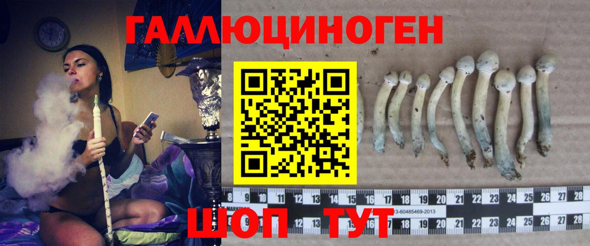 Галлюциногенные грибы мицелий  Вход с VPN  Галлюциногенные грибы прущие грибы  Гудермес 
